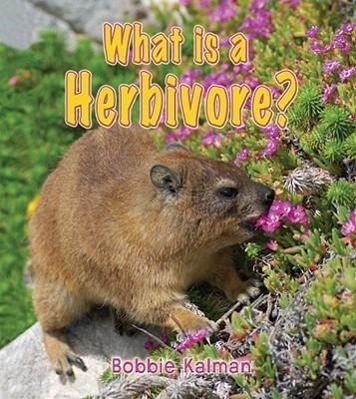 Vorderes Coverbild What Is a Herbivore?