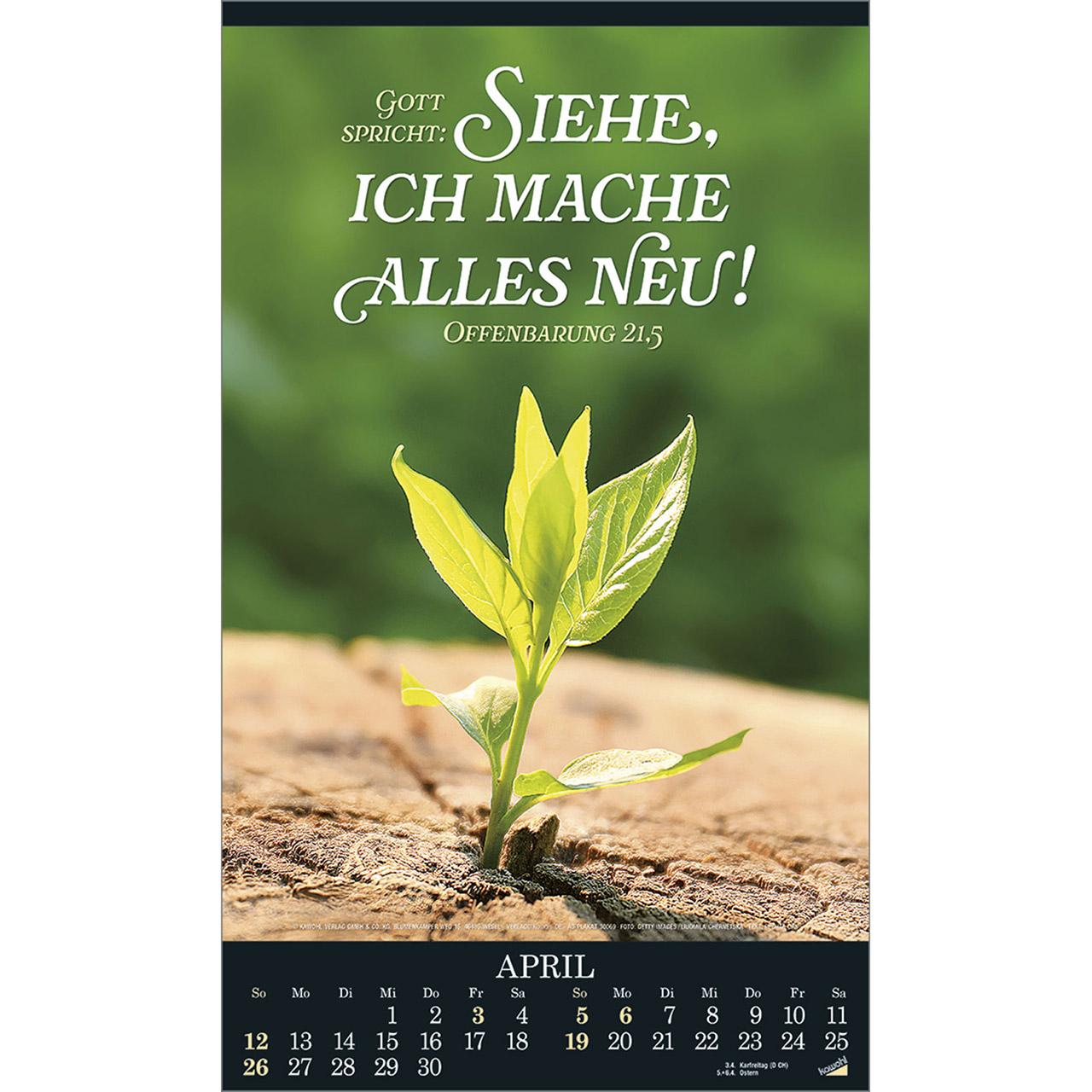 Beispielinhalt (Bild) Alles in uns schweige 2026