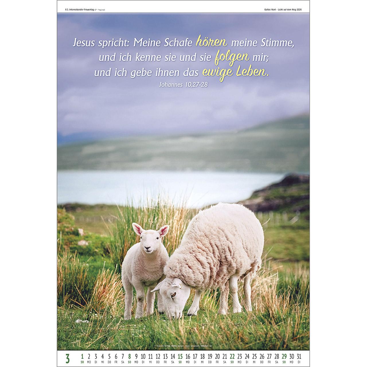 Beispielinhalt (Bild) Gottes Wort - Licht auf dem Weg 2026