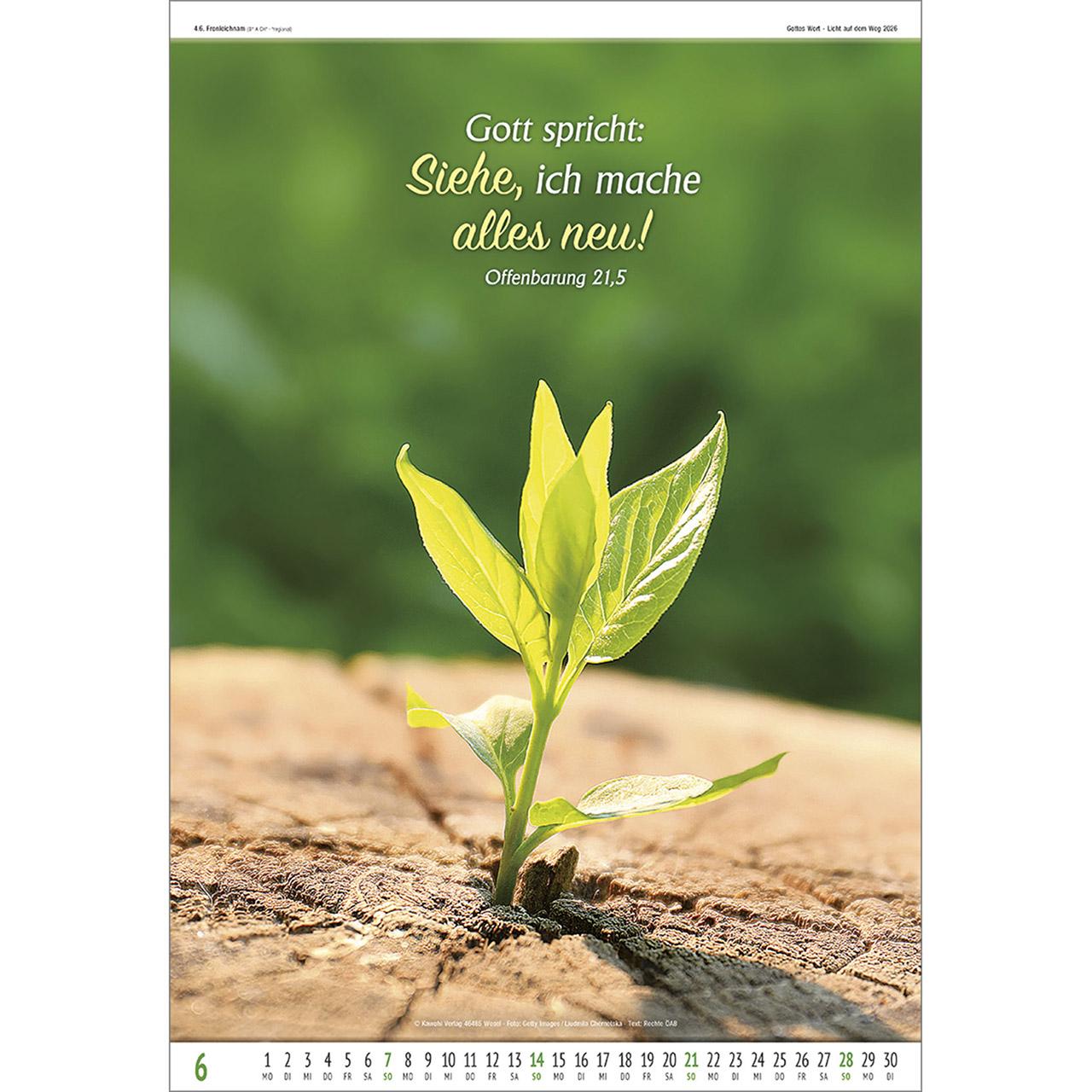 Beispielinhalt (Bild) Gottes Wort - Licht auf dem Weg 2026