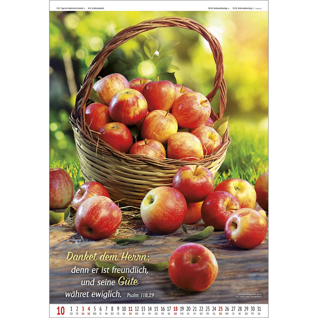 Beispielinhalt (Bild) Gottes Wort - Licht auf dem Weg 2026