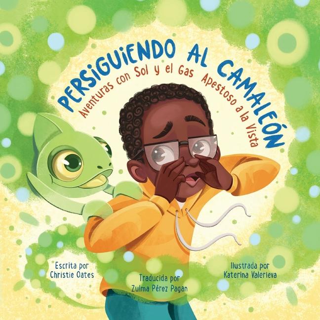 Vorderes Coverbild Persiguiendo al Camaleon