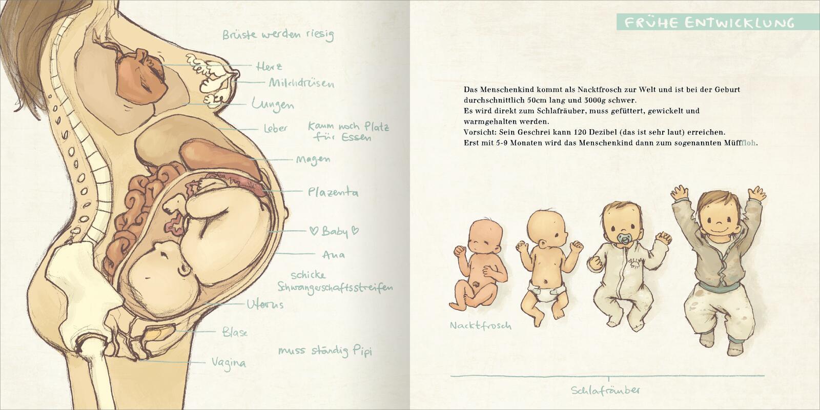 Beispielinhalt (Bild) Der MüffFloh