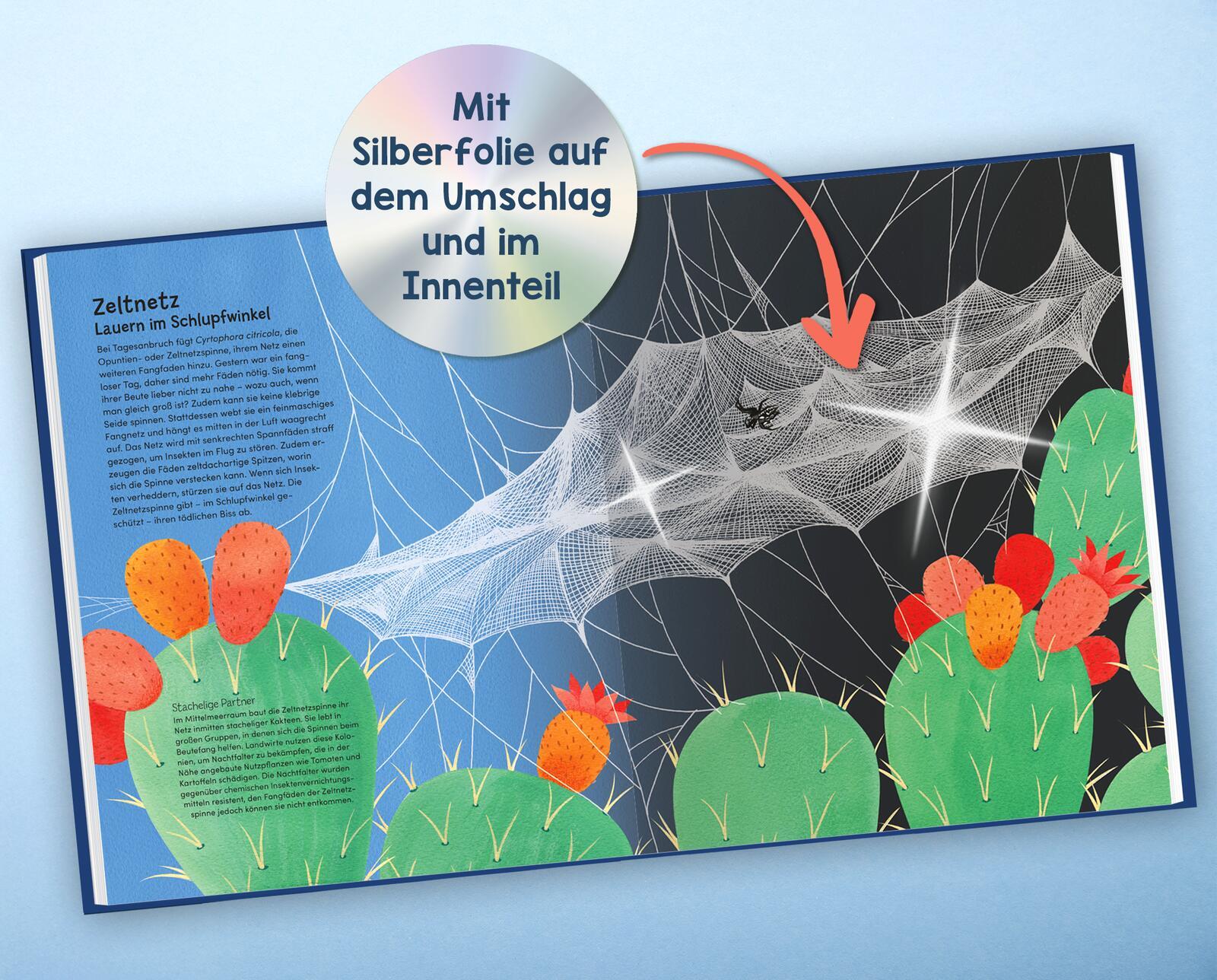 Beispielinhalt (Bild) Wunderwelt der Spinnennetze