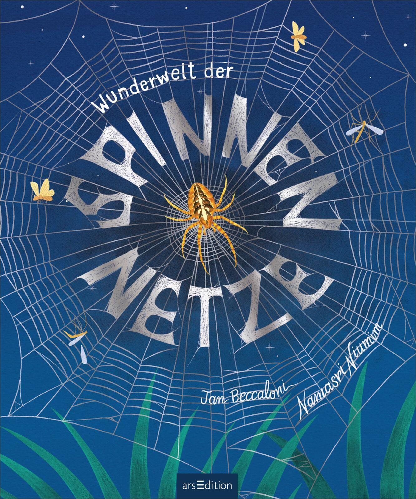 Beispielinhalt (Bild) Wunderwelt der Spinnennetze