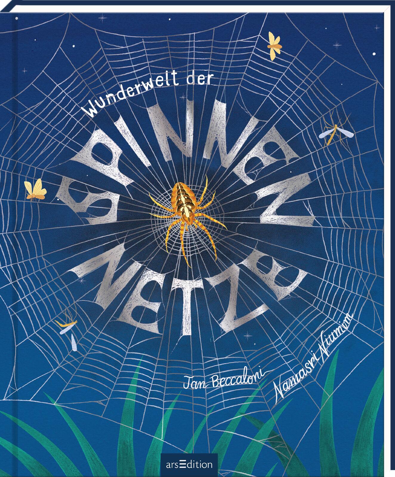 Vorderes Coverbild Wunderwelt der Spinnennetze