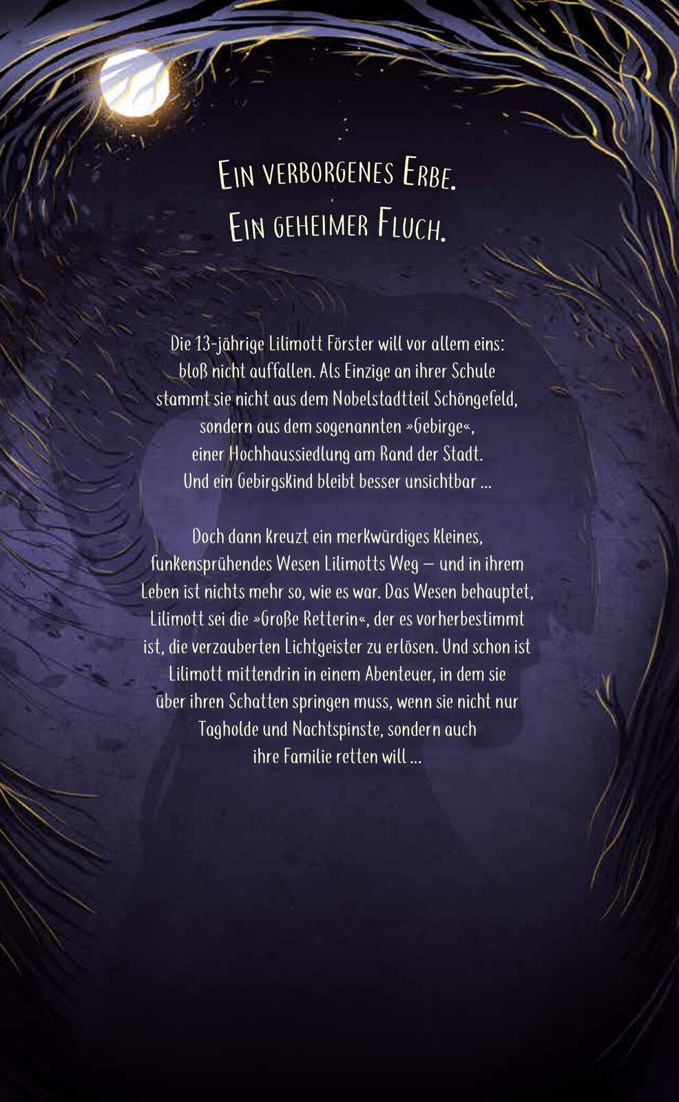 Rückseitencover Dämmernachtstraum