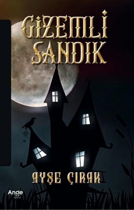 Vorderes Coverbild Gizemli Sandik