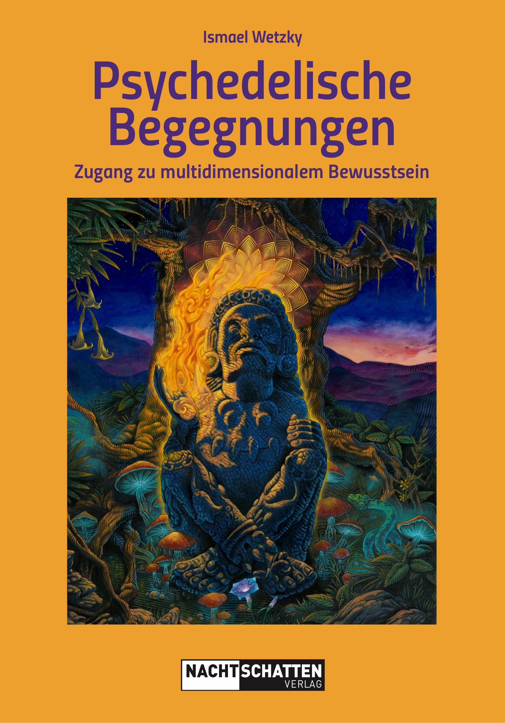 Vorderes Coverbild Psychedelische Begegnungen