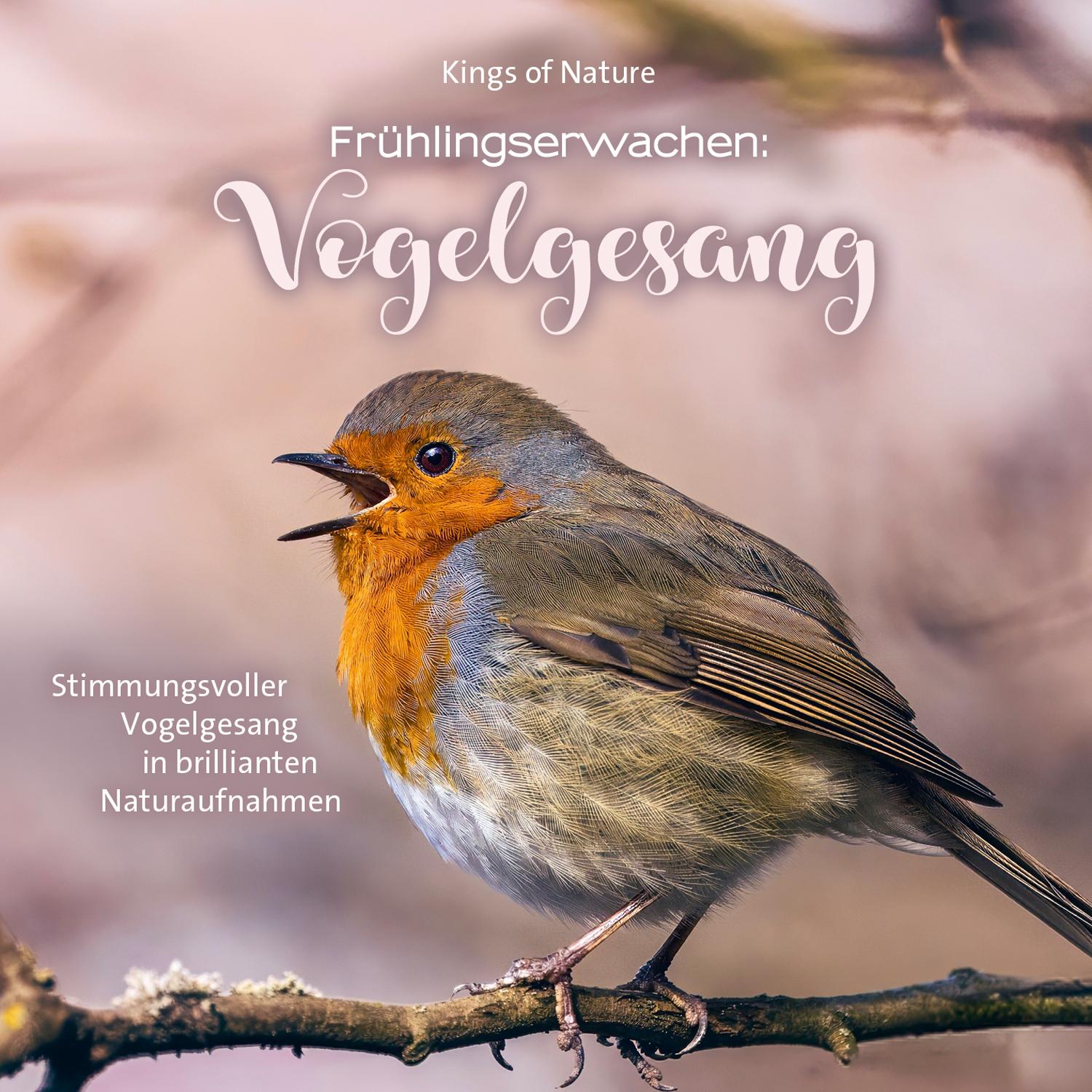 Vorderes Coverbild Frühlingserwachen: Vogelgesang