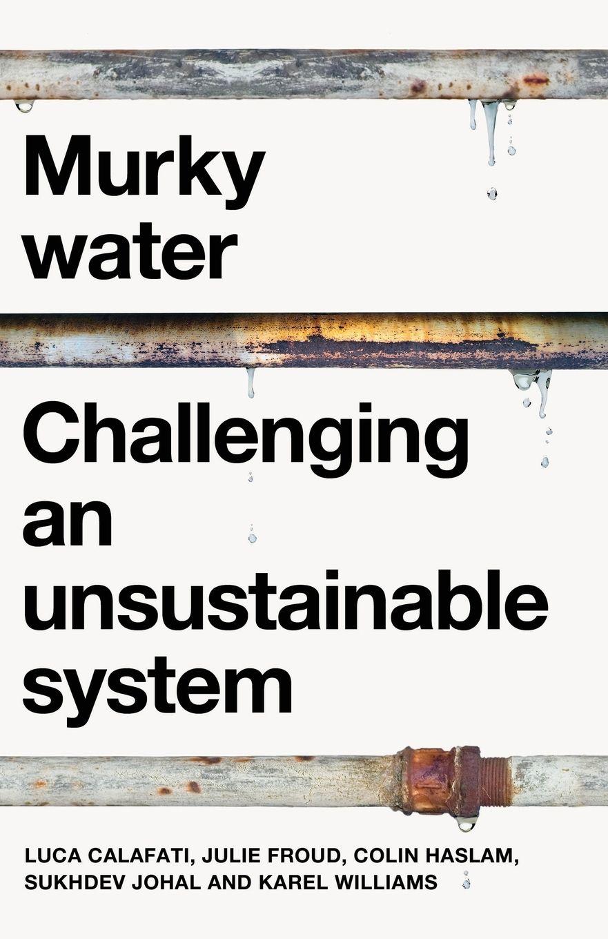 Vorderes Coverbild Murky Water