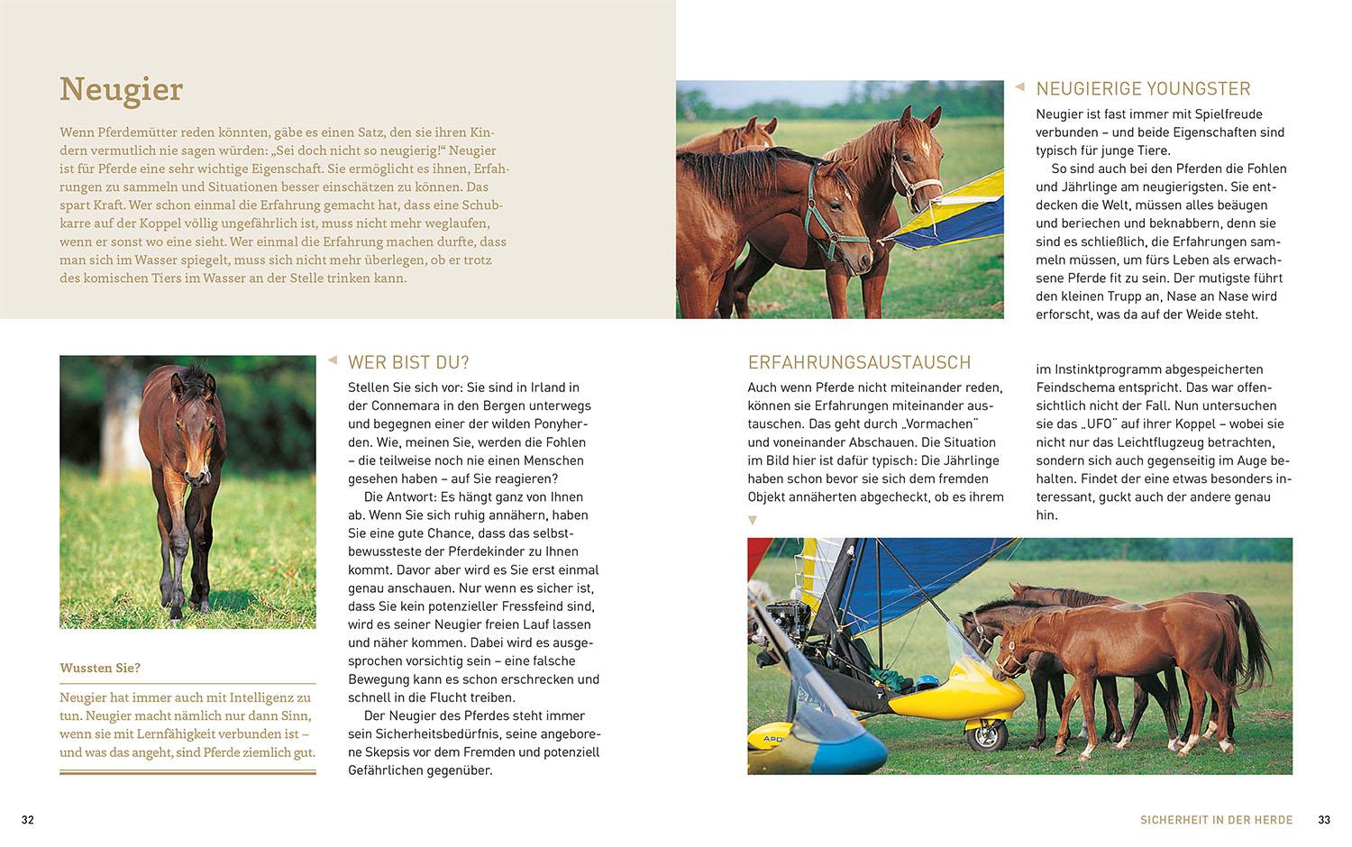 Beispielinhalt (Bild) Pferde verstehen, erziehen und reiten