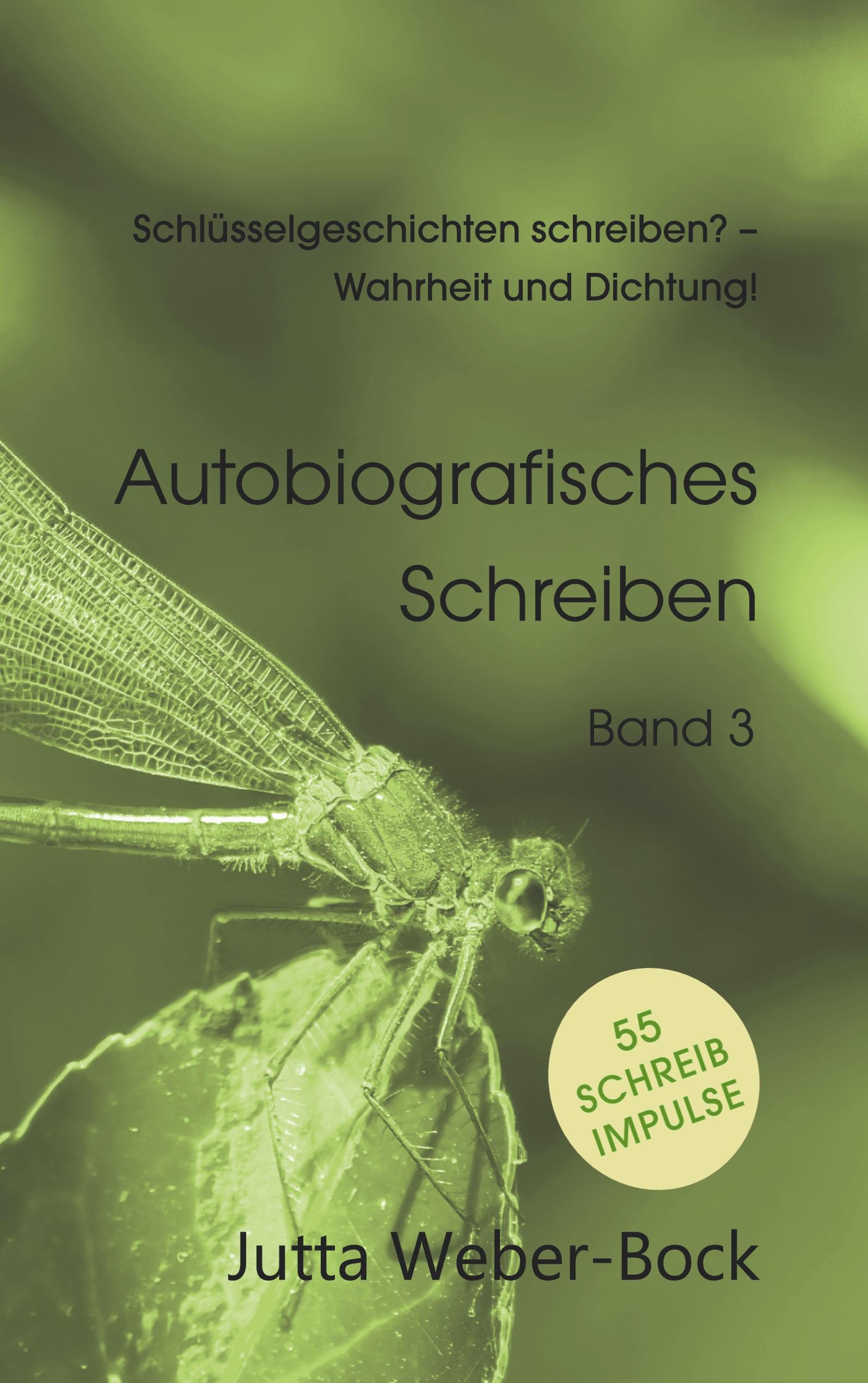 Vorderes Coverbild Schlüsselgeschichten schreiben? - Wahrheit und Dichtung!