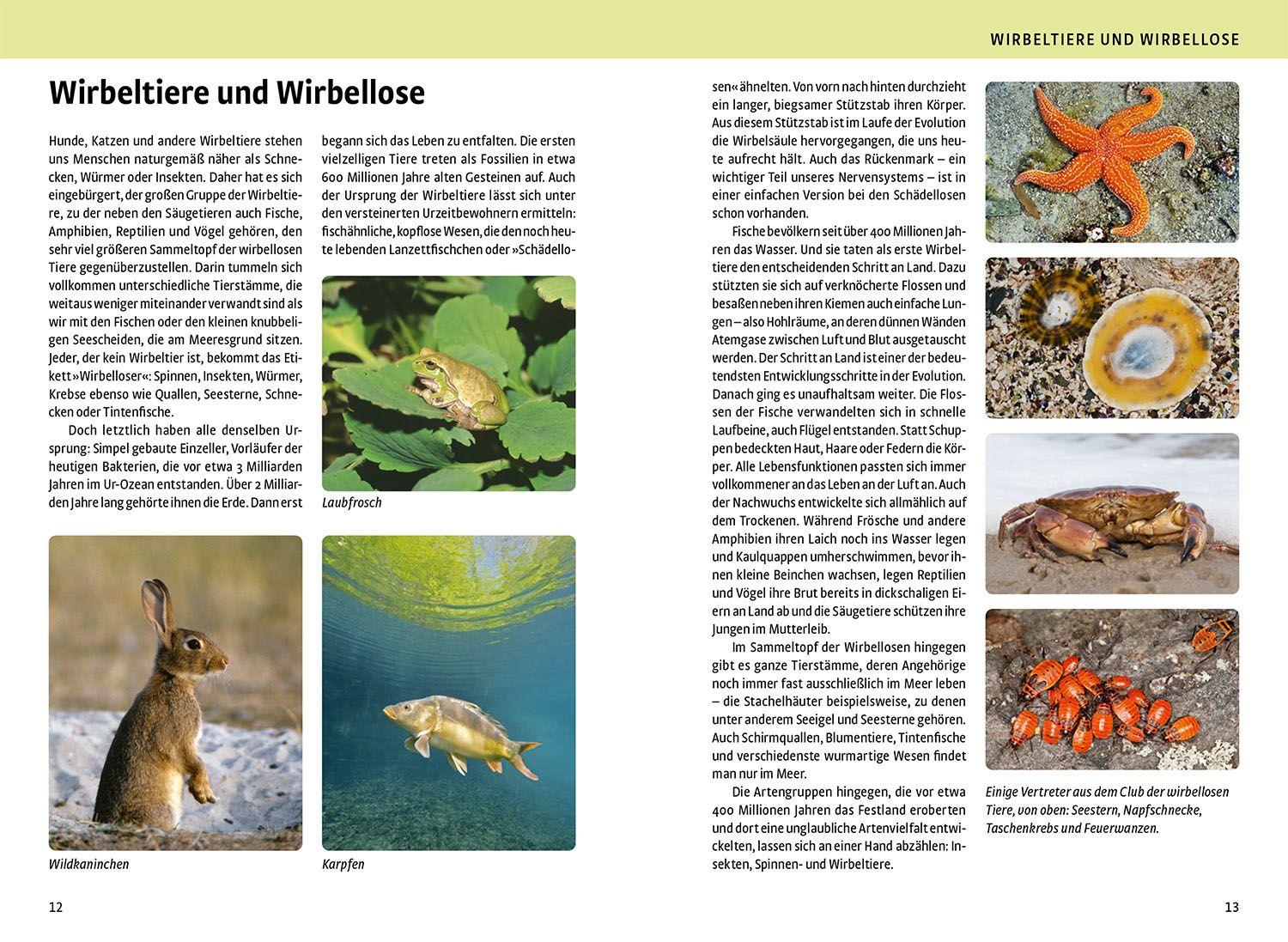 Beispielinhalt (Bild) Der große Kosmos-Naturführer Tiere und Pflanzen