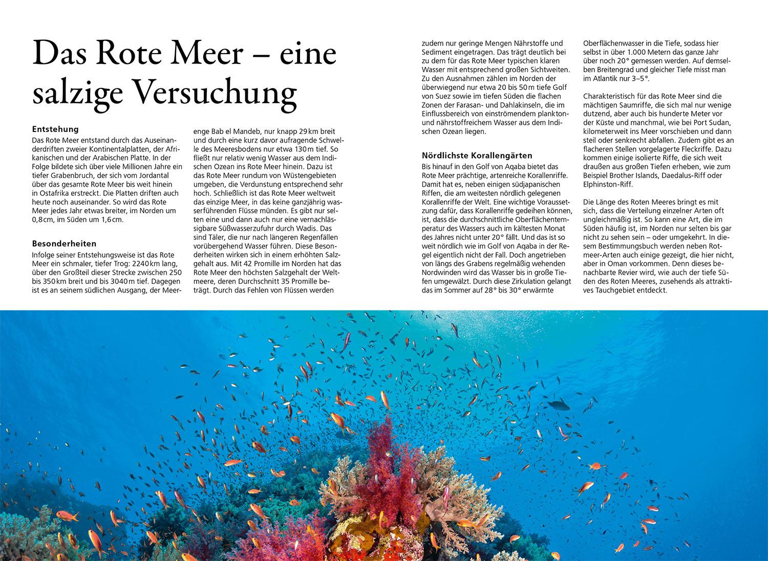 Beispielinhalt (Bild) KOSMOS Riff-Führer Rotes Meer