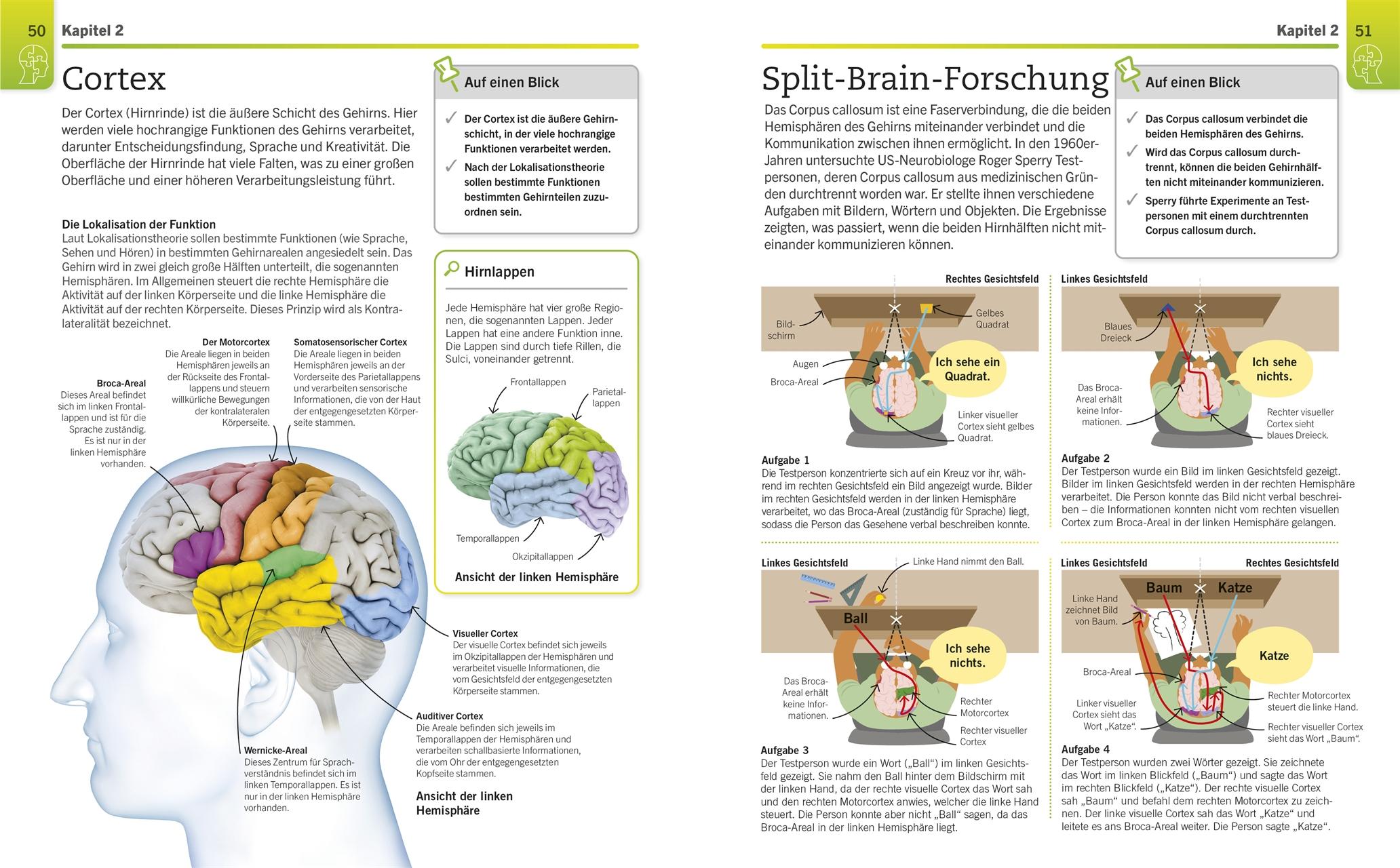 Beispielinhalt (Bild) Visuelles Wissen. Psychologie