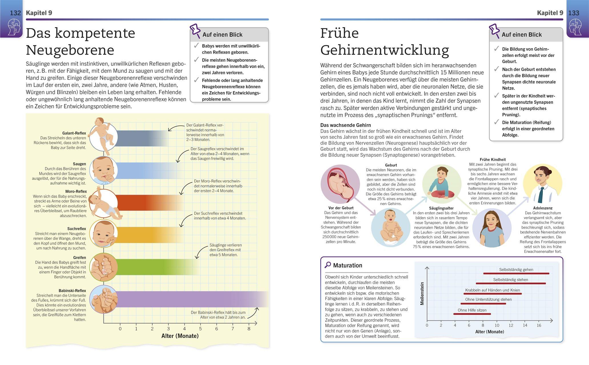 Beispielinhalt (Bild) Visuelles Wissen. Psychologie