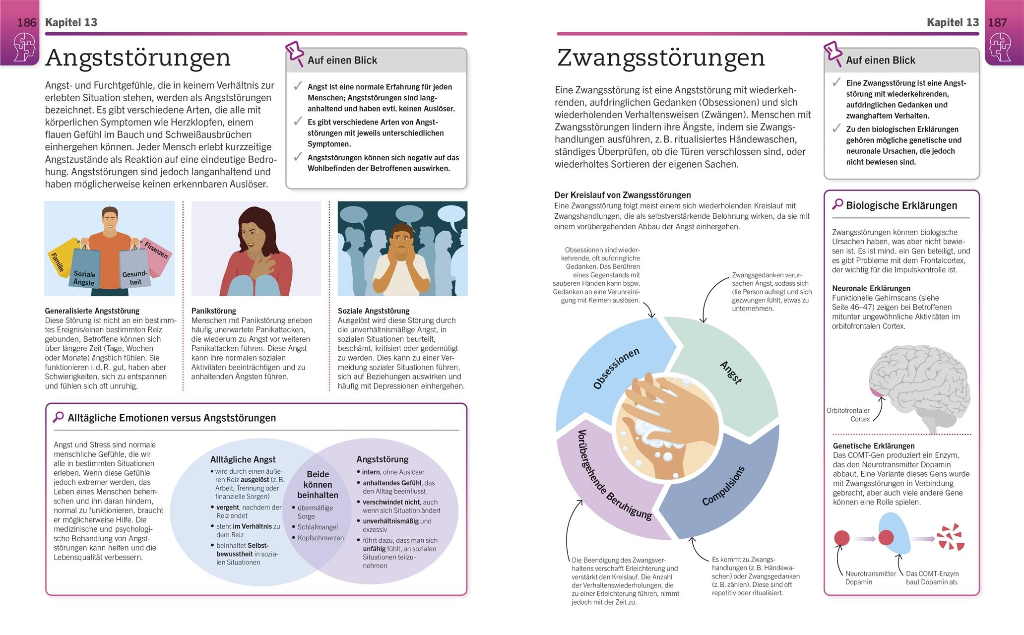 Beispielinhalt (Bild) Visuelles Wissen. Psychologie