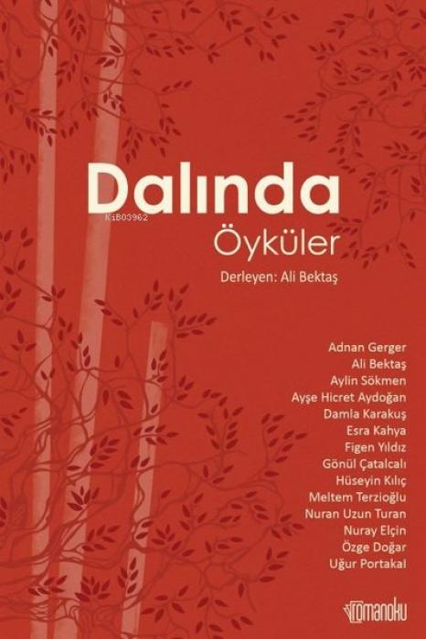 Vorderes Coverbild Dalinda Öyküler