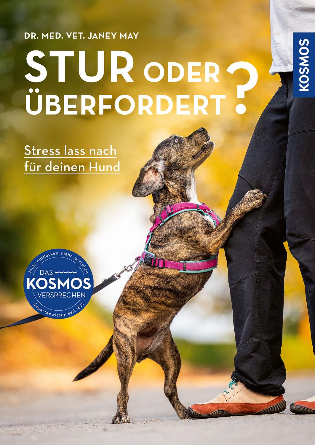 Vorderes Coverbild Stur oder überfordert?