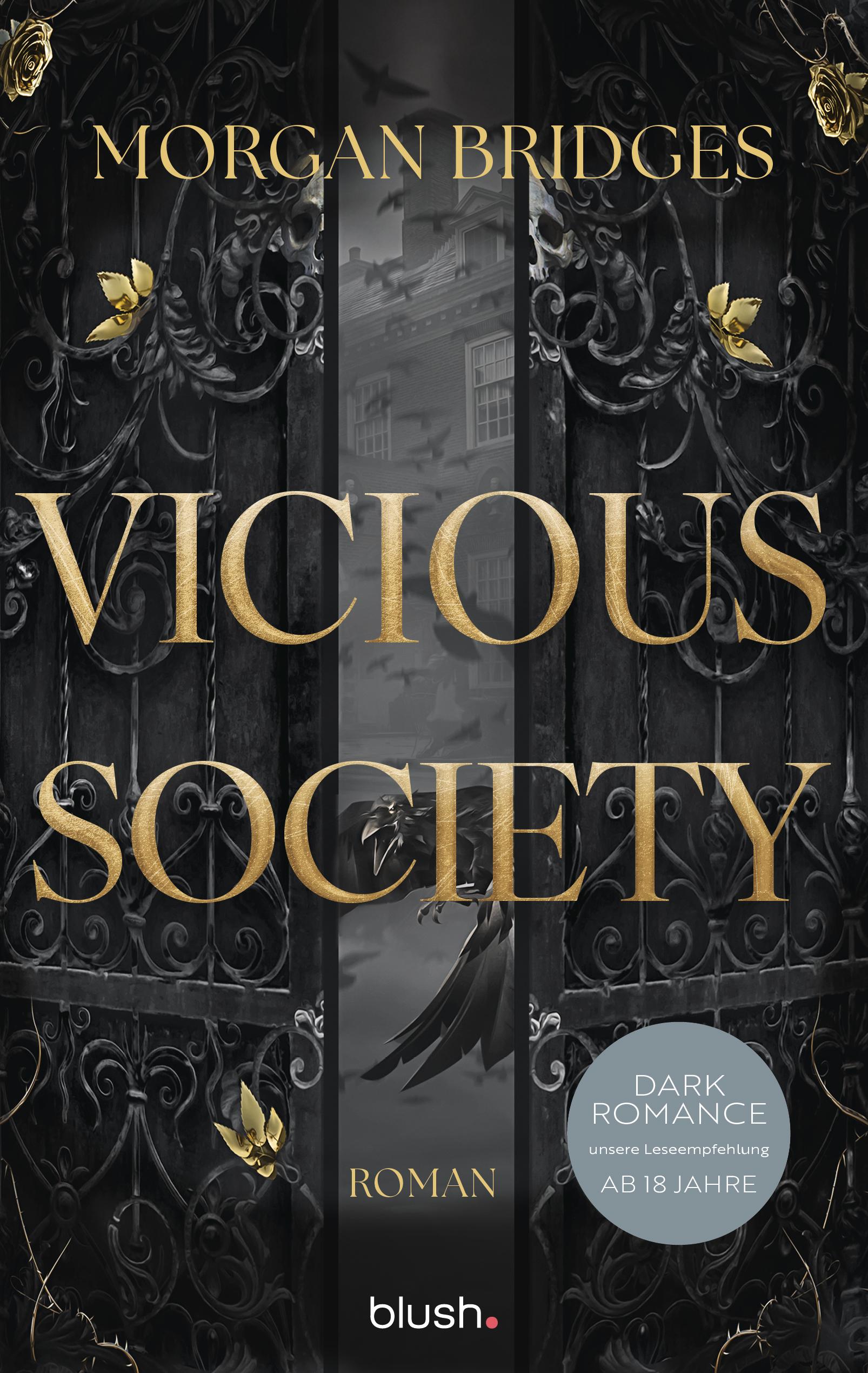 Vorderes Coverbild Vicious Society