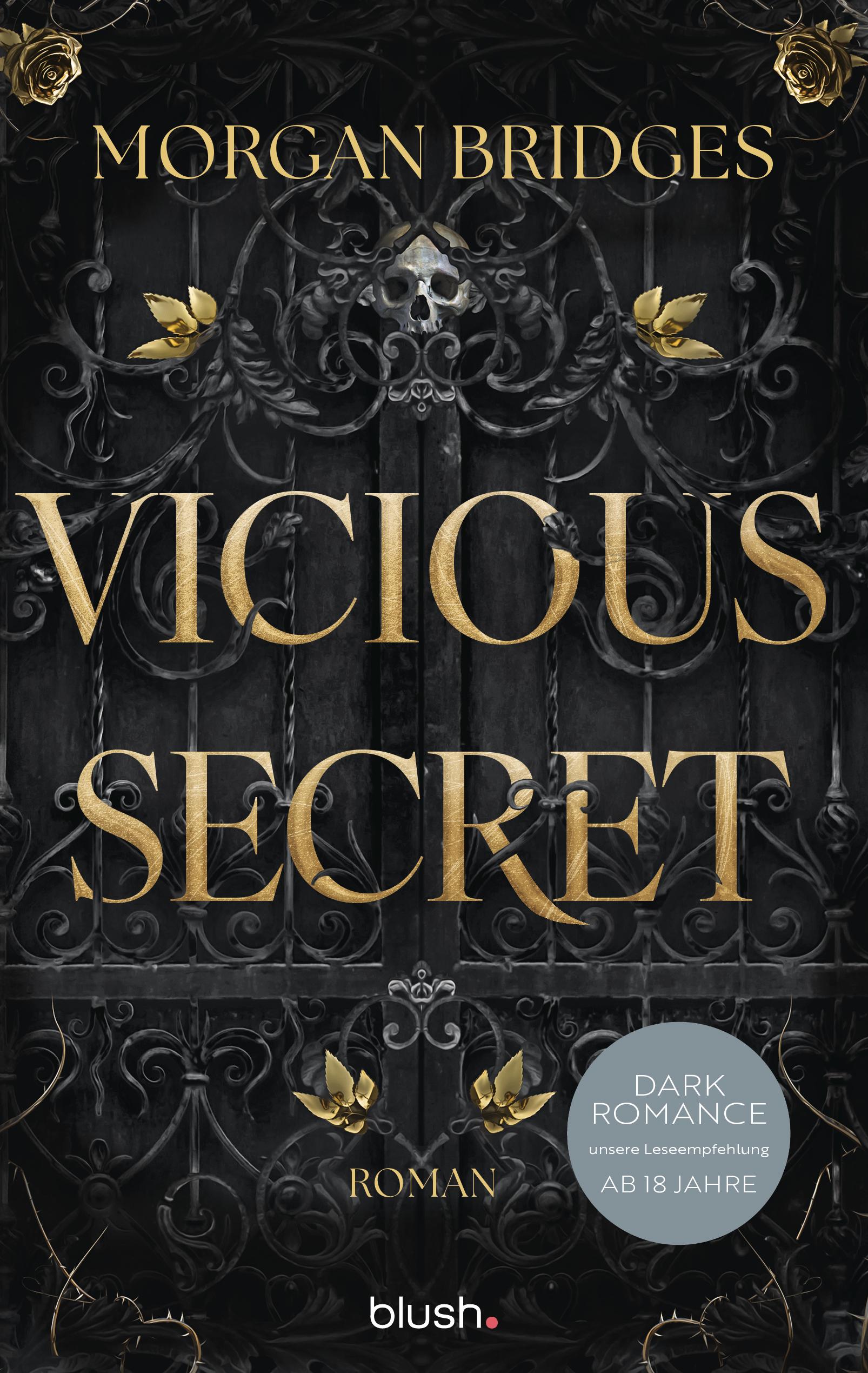 Vorderes Coverbild Vicious Secret
