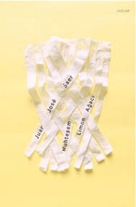 Vorderes Coverbild Muhtesem Limon Agaci