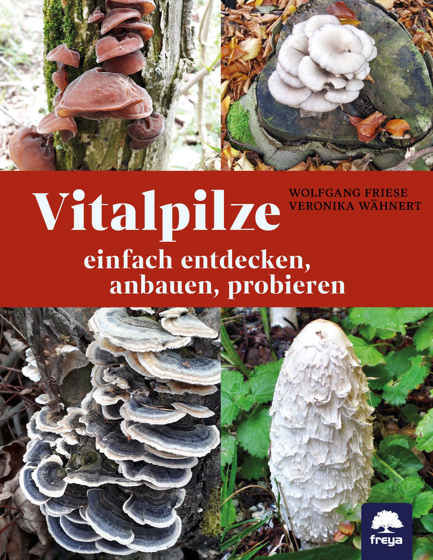 Vorderes Coverbild Vitalpilze