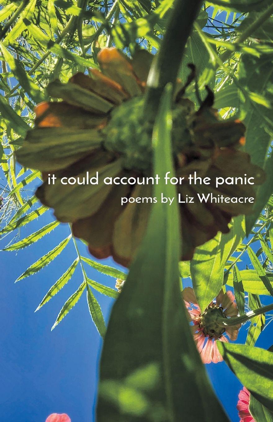 Vorderes Coverbild it could account for the panic