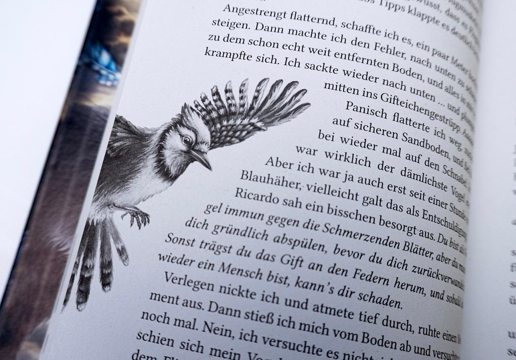 Beispielinhalt (Bild) Windwalkers (1). Verborgene Flügel