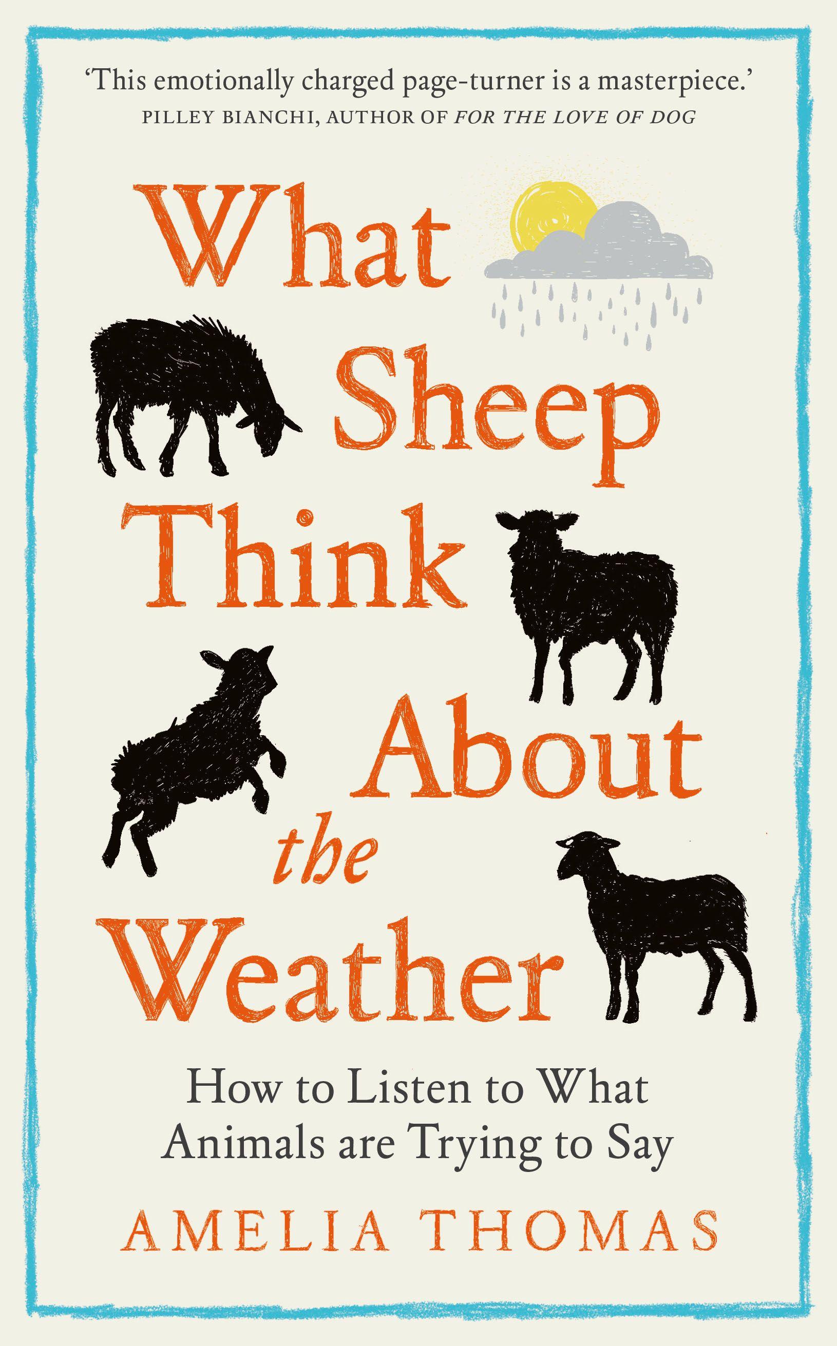 Vorderes Coverbild What Sheep Think About the Weather