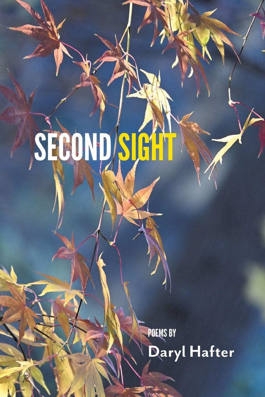 Vorderes Coverbild Second Sight