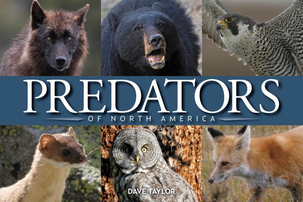 Vorderes Coverbild Predators of North America