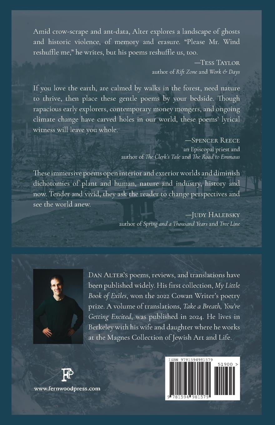 Rückseitencover Hills Full of Holes