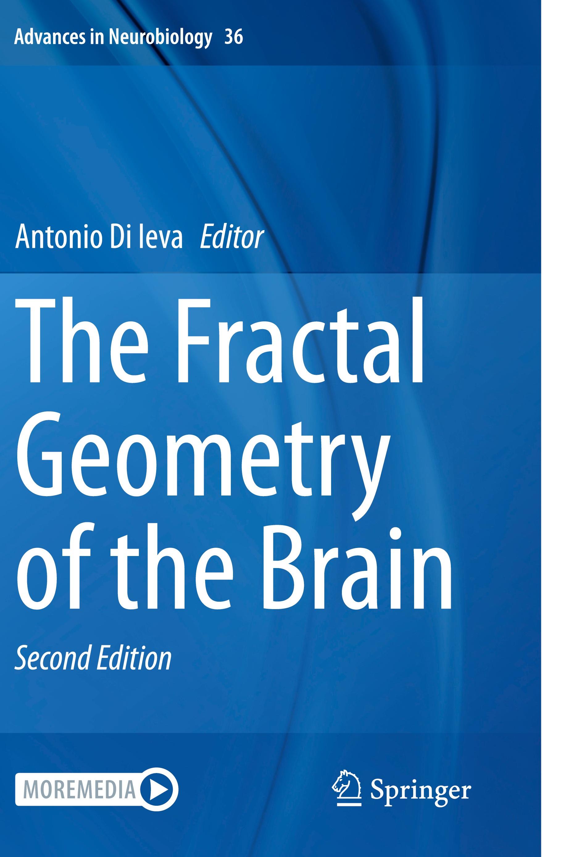 Vorderes Coverbild The Fractal Geometry of the Brain