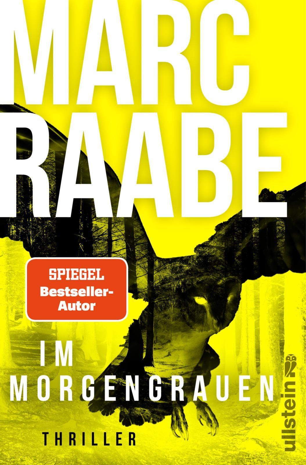 Vorderes Coverbild Im Morgengrauen
