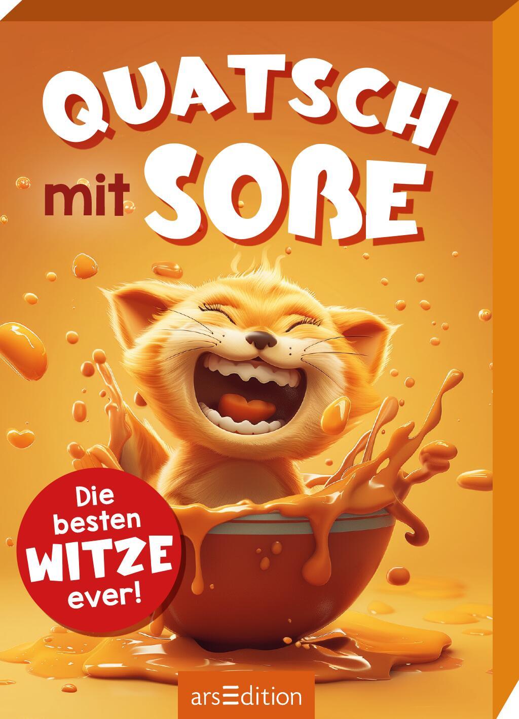 Vorderes Coverbild Quatsch mit Soße (Katze)