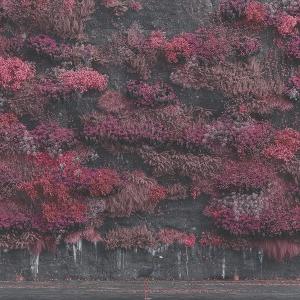 Vorderes Coverbild Even In Arcadia