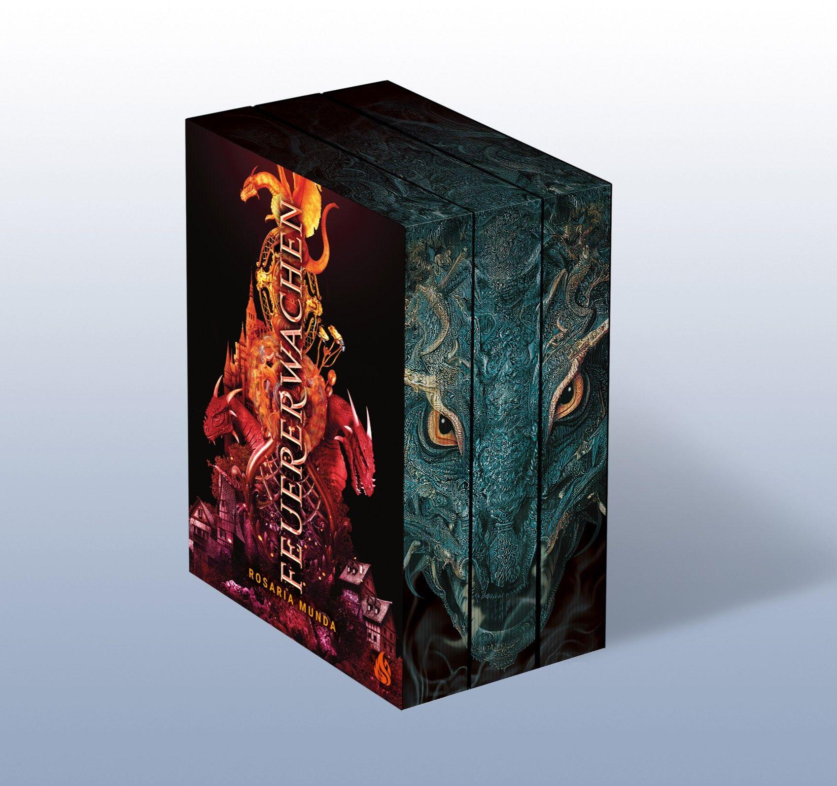 Vorderes Coverbild Flammenfall