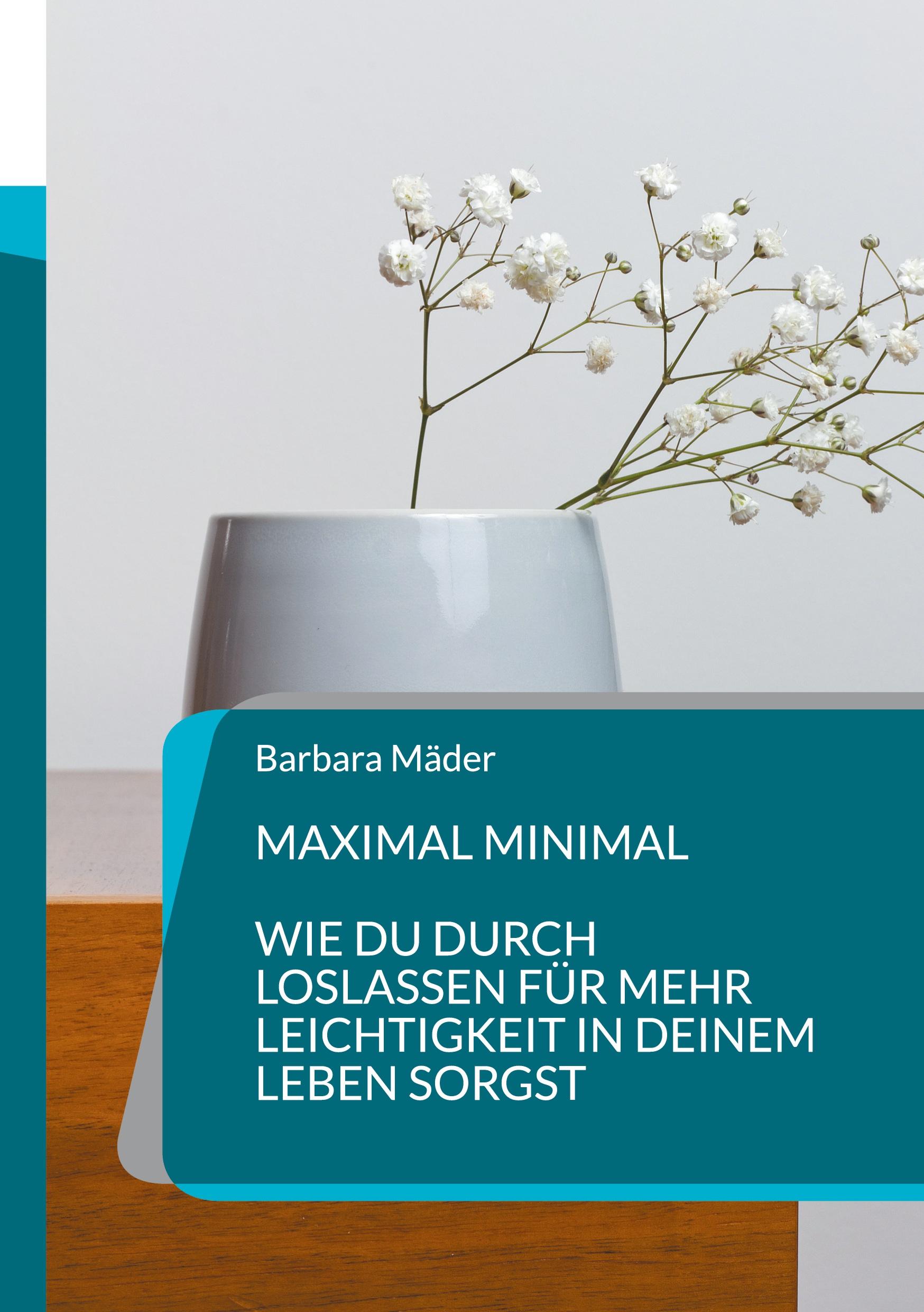 Vorderes Coverbild Maximal minimal