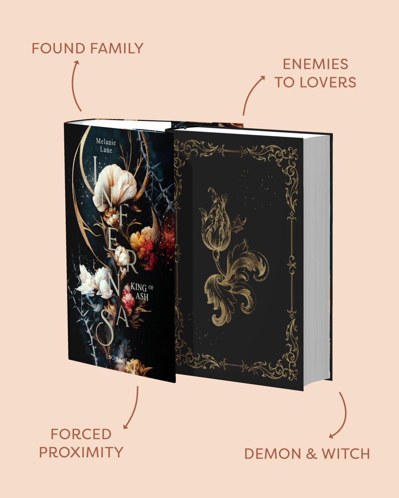 Beispielinhalt (Bild) Infernas 1: King of Ash