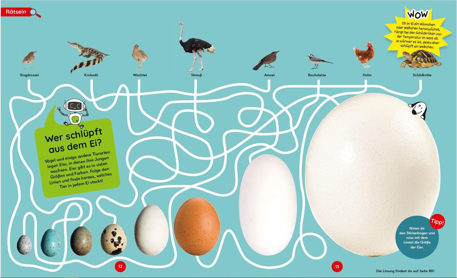 Beispielinhalt (Bild) Dudu forscht. Von A bis Z