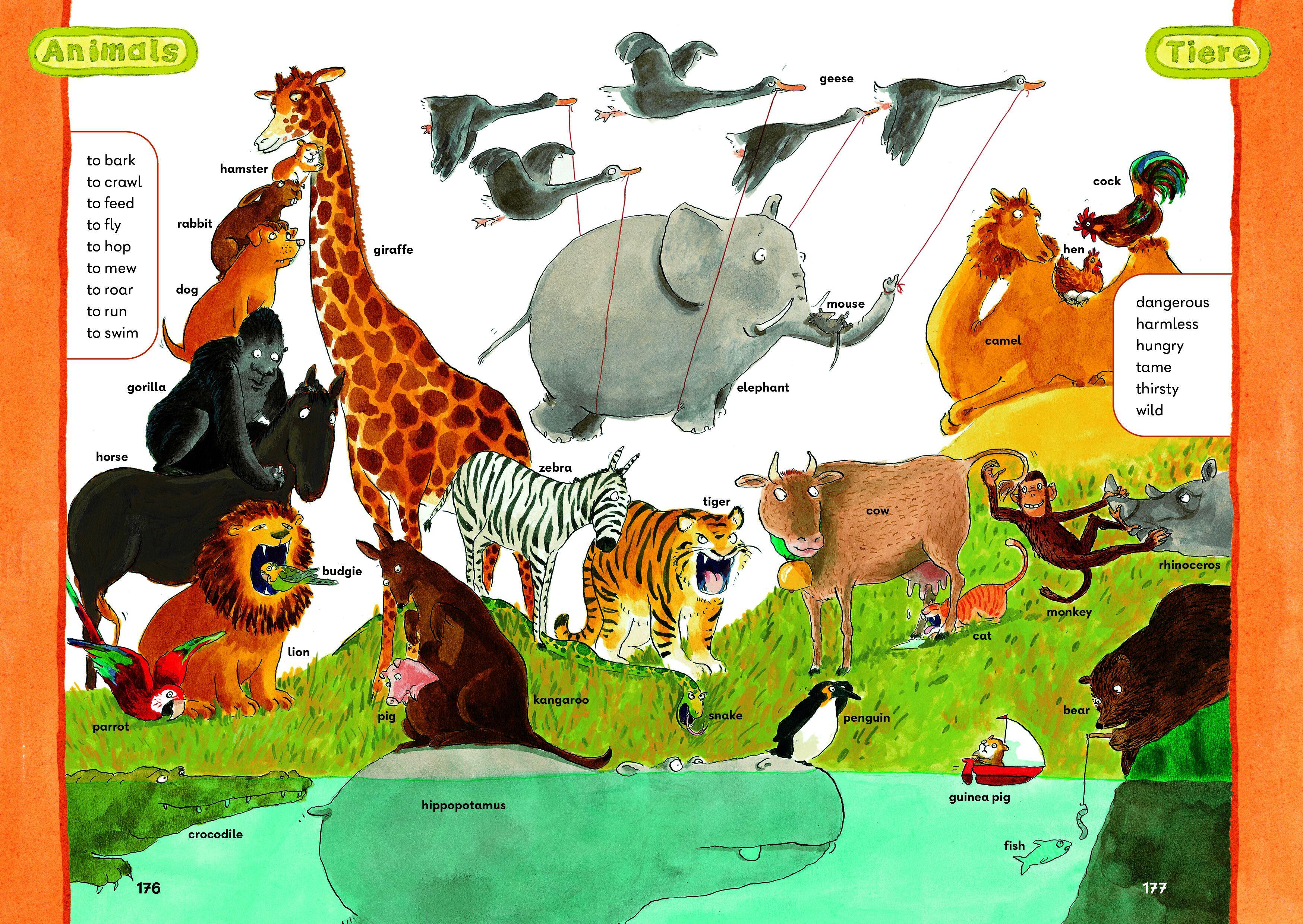 Beispielinhalt (Bild) Das Grundschulwörterbuch Englisch