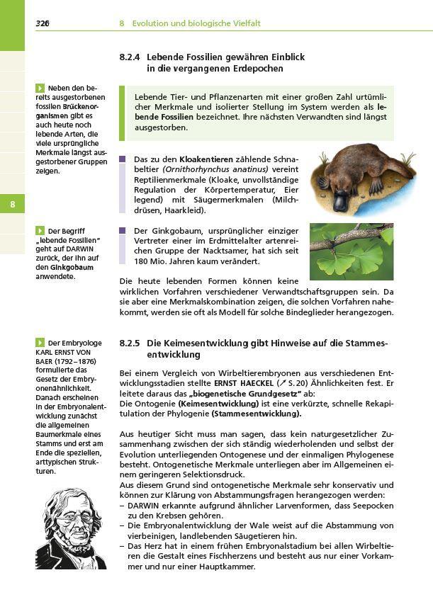 Beispielinhalt (Bild) Basiswissen Schule - Biologie Abi