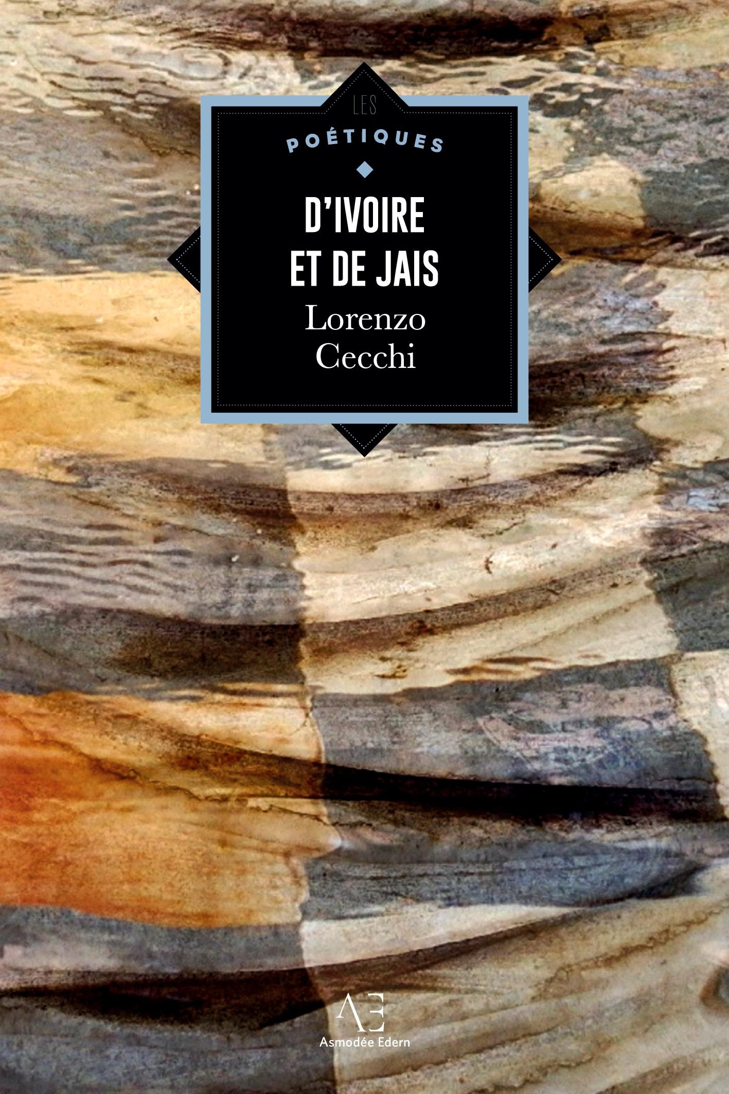 Vorderes Coverbild D'ivoire et de jais