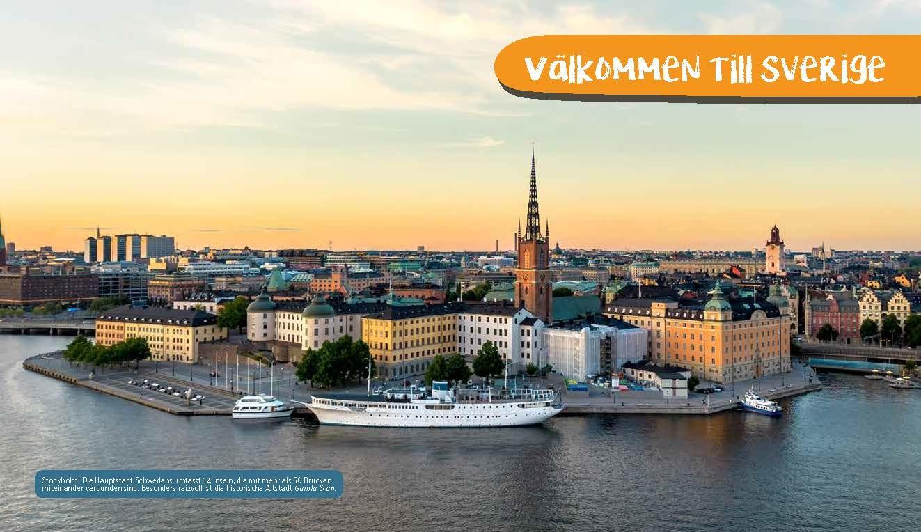 Beispielinhalt (Bild) Enjoy Schwedisch