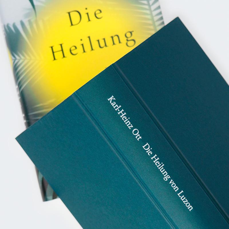 Beispielinhalt (Bild) Die Heilung von Luzon