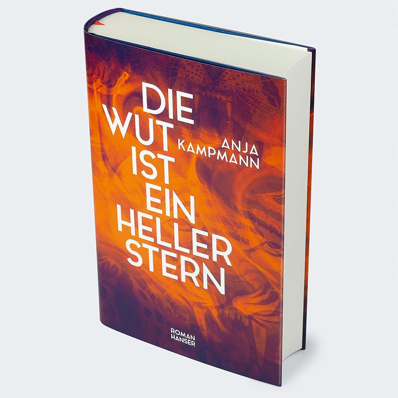 Beispielinhalt (Bild) Die Wut ist ein heller Stern