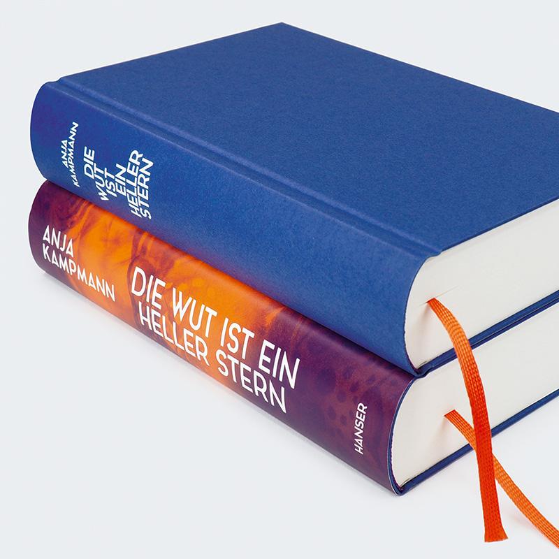 Beispielinhalt (Bild) Die Wut ist ein heller Stern