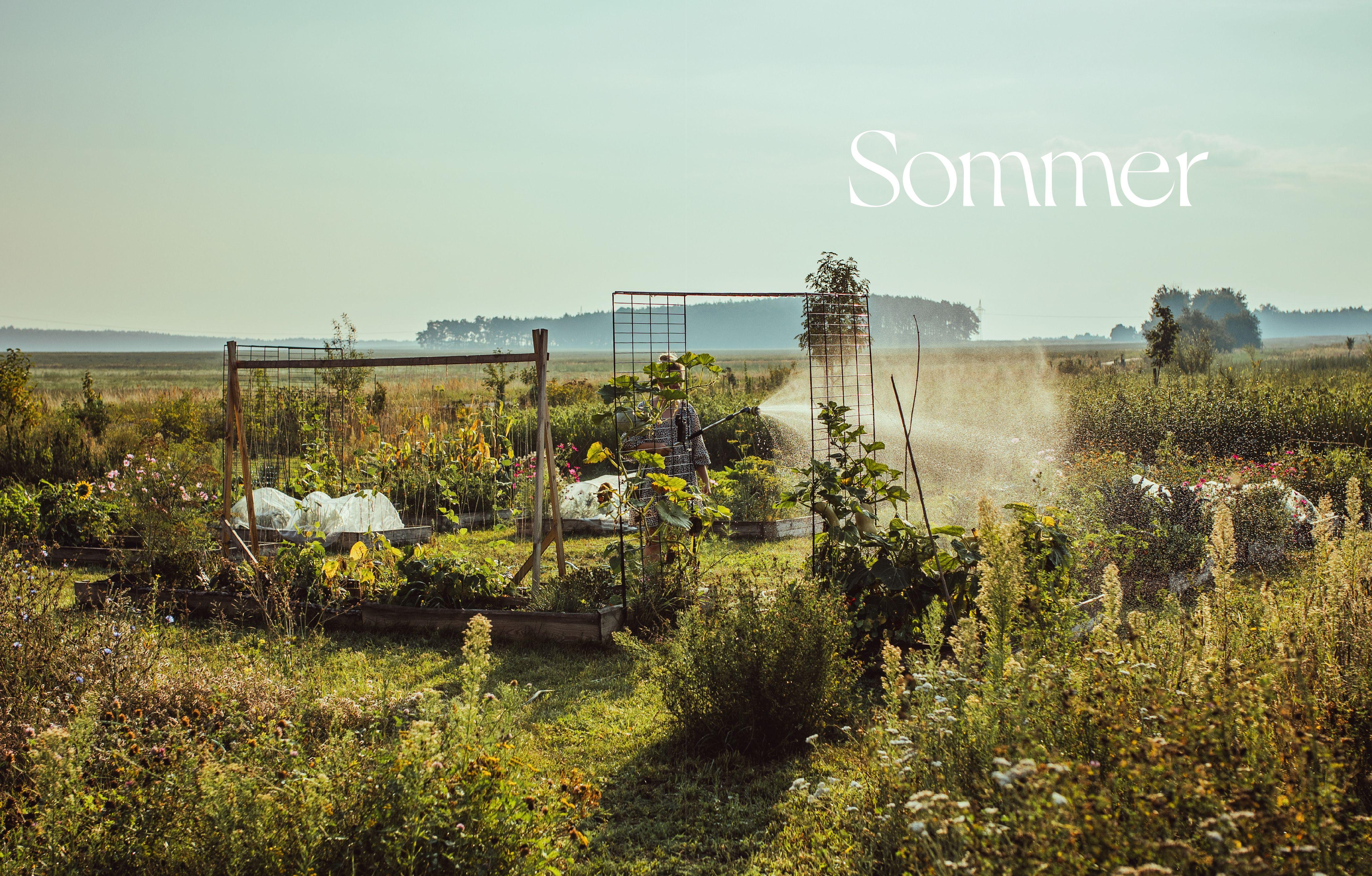 Beispielinhalt (Bild) Was kocht Hanna